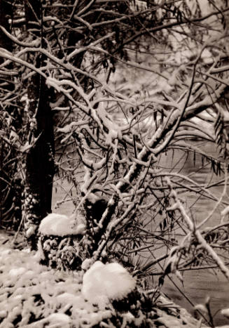 #276 (snow)