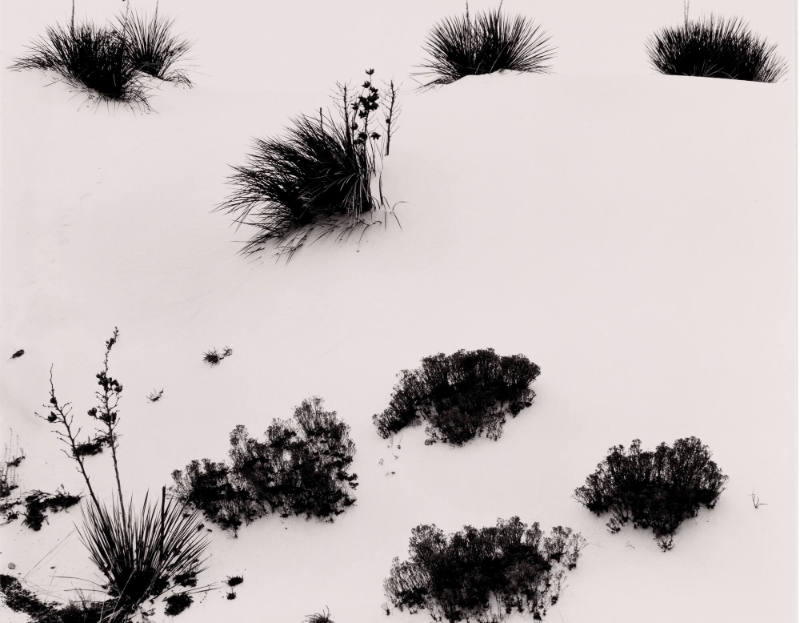 White Sands, New Mexico