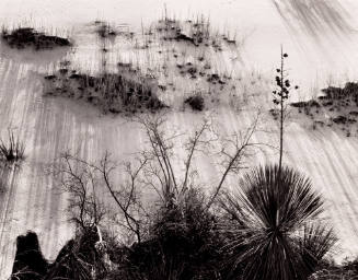 White Sands, New Mexico