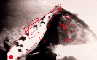 A H20i a Koi (from the series Dog God)