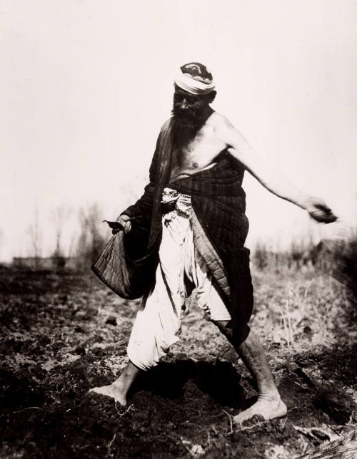Scatterer, Uzbekiistan