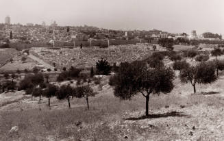 Jerusalem from the Mount of Olives #1