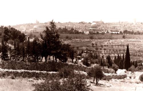 Jerusalem From the Mount of Olives #2
