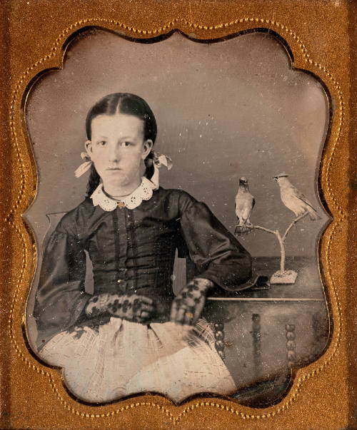Untitled (Girl with two birds on a table)
