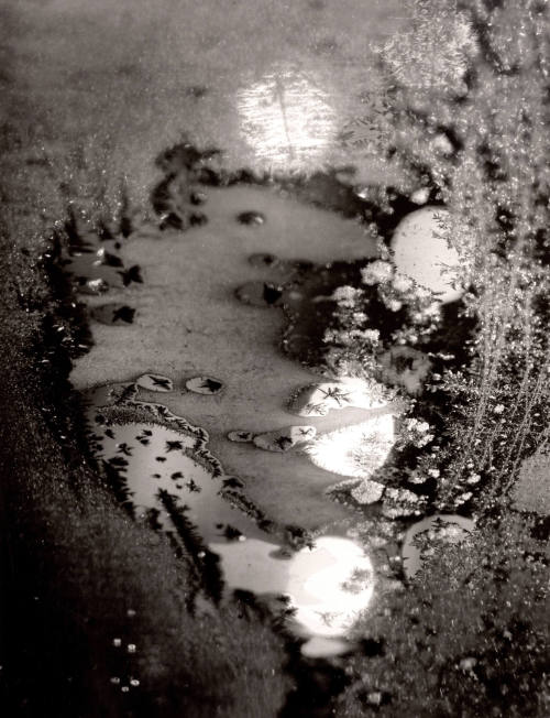Beginnings, Frosted Window, Rochester, New York