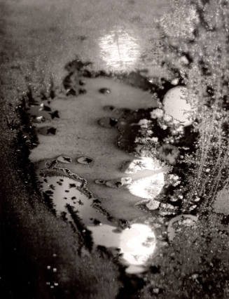Beginnings, Frosted Window, Rochester, New York