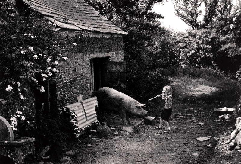 Untitled (Landscape with Child and Hog)