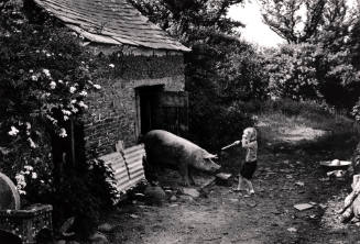 Untitled (Landscape with Child and Hog)