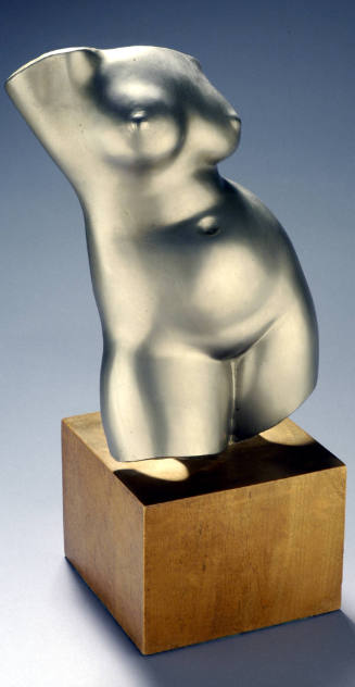 Torso