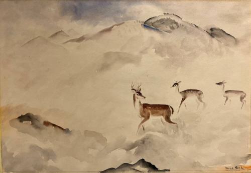 Deer Mountain