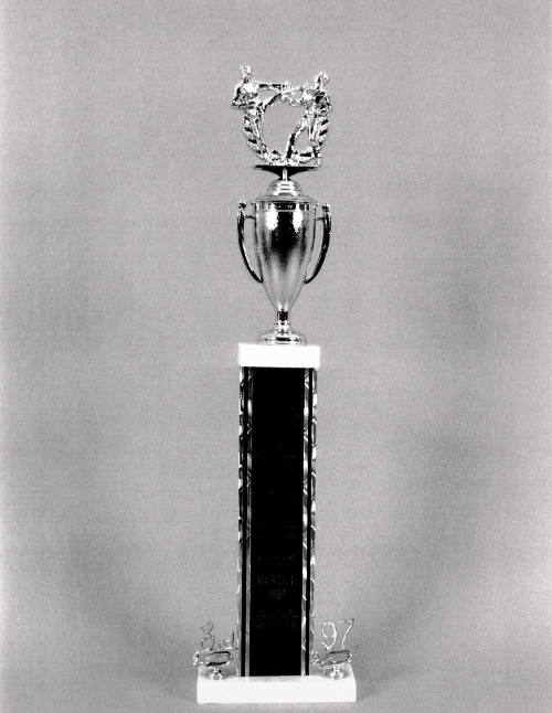 Favorite Objects: Trophy