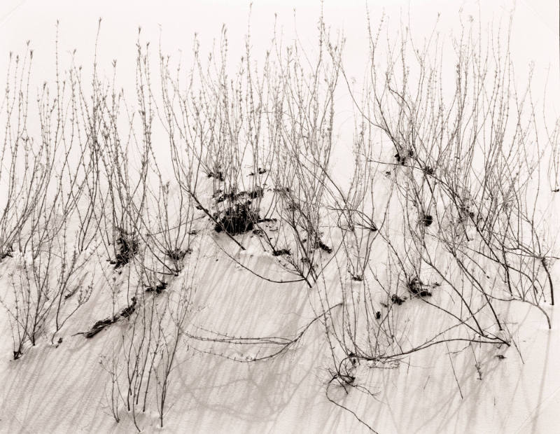 Untitled (White Sands, New Mexico)