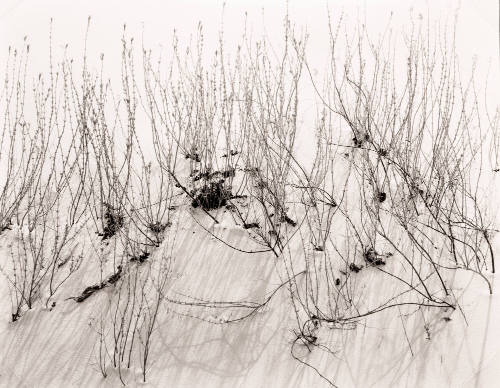 Untitled (White Sands, New Mexico)