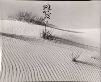 Untitled (White Sands, New Mexico)