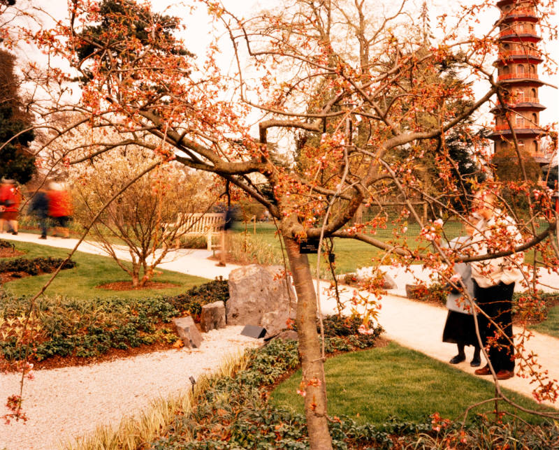 Kew Gardens