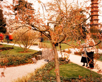 Kew Gardens