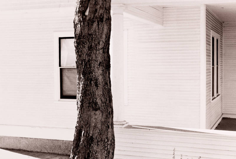 Memphis, Tennessee, 1976