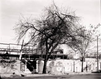 New Development, Looking East on Lincoln Avenue, November, 1982