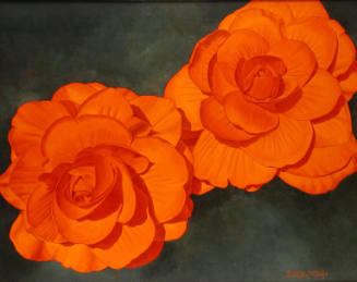 Red Orange Begonias