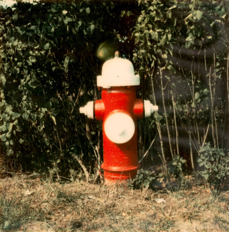 Untitled (Fire Hydrant)