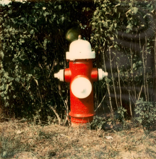 Untitled (Fire Hydrant)