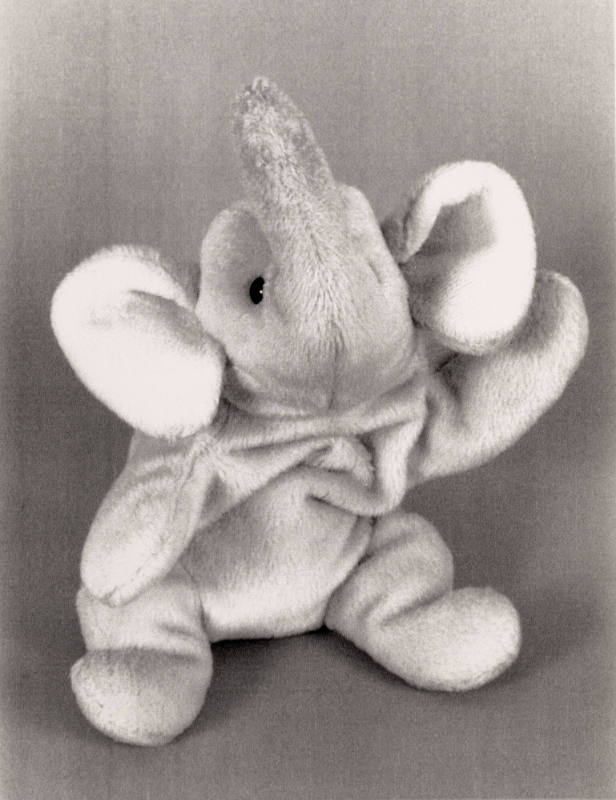 Favorite Objects: Elephant