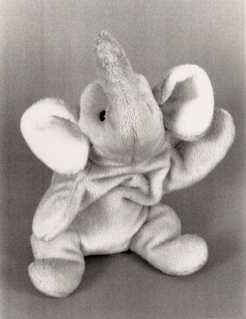 Favorite Objects: Elephant