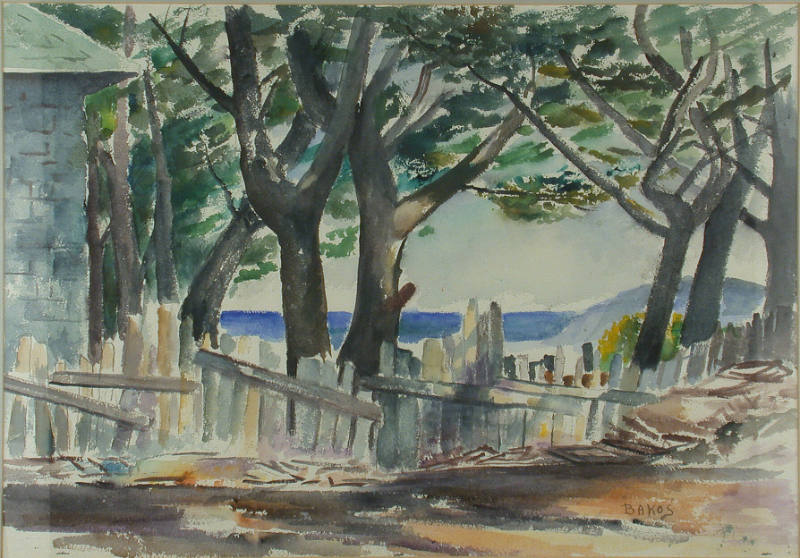 Pacific Coast Scene with House and Fence