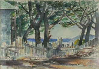 Pacific Coast Scene with House and Fence