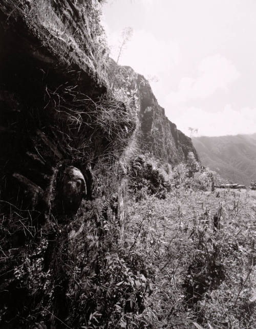 Untitled from Portfolio "Marks in Place"