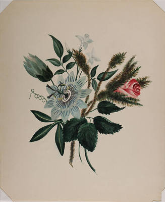 New England Still Life