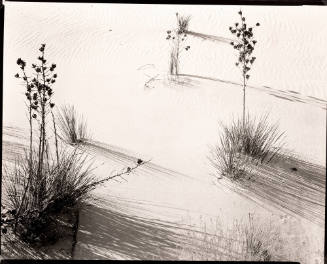 Untitled (White Sands, New Mexico)