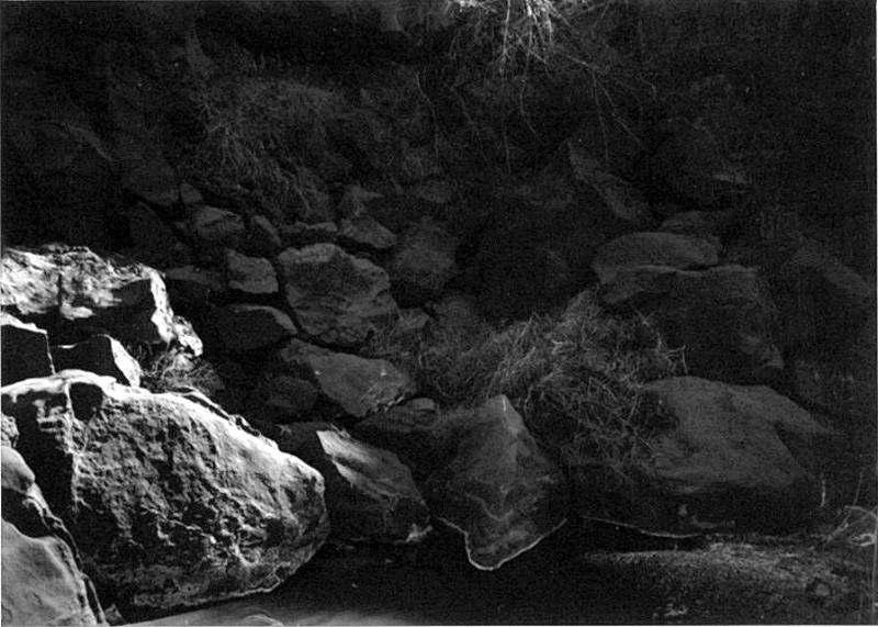Ritual Guardian, A Quality of Dancing: The San José Canyon Works, New Mexico