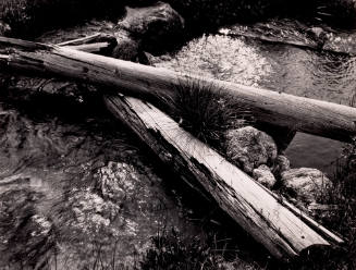 Brook, Aspen Basin, New Mexico 1949