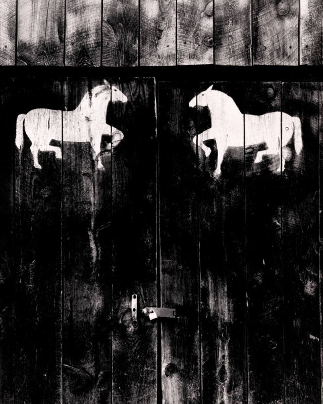 Barn Door, Cundiyo, New Mexico 1961