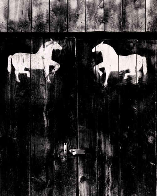Barn Door, Cundiyo, New Mexico 1961