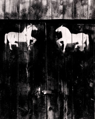 Barn Door, Cundiyo, New Mexico 1961