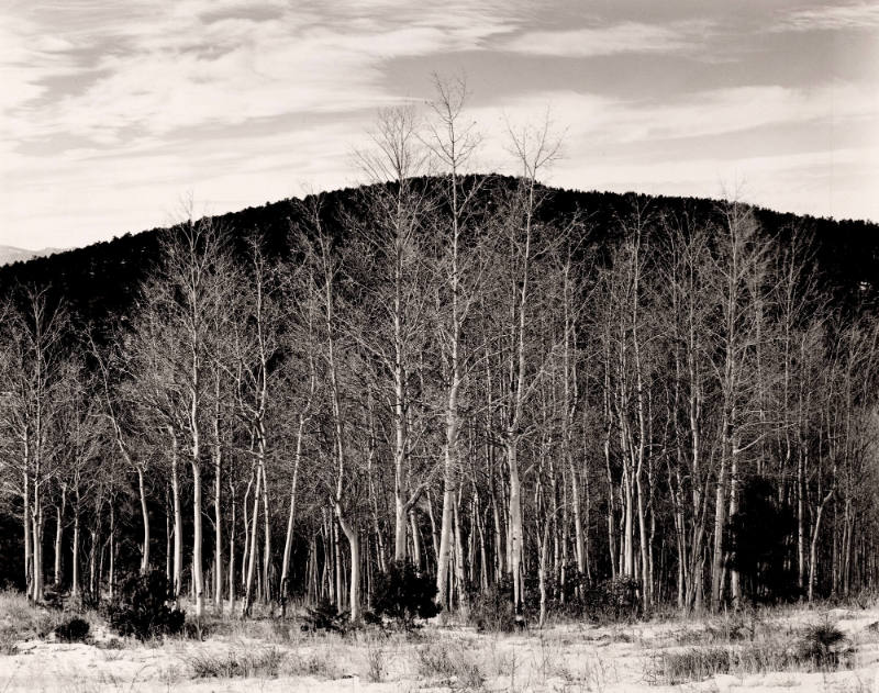 Aspen Valley