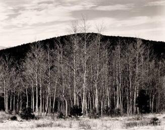 Aspen Valley
