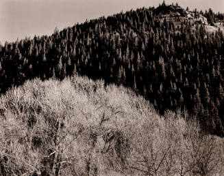 Taos, New Mexico