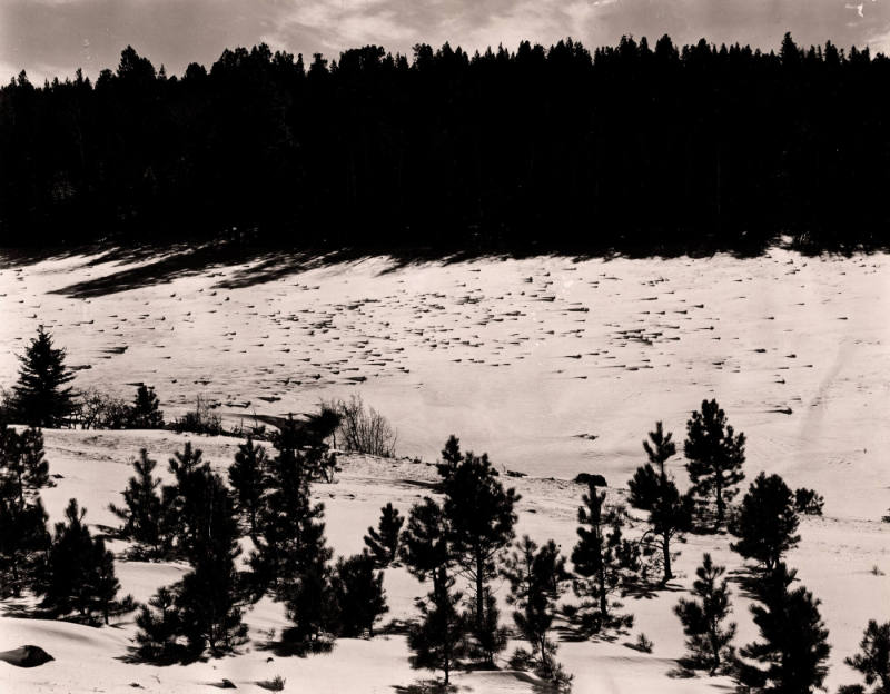 Taos Canyon Christmas