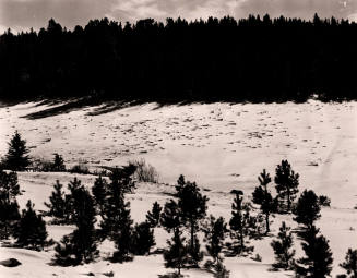 Taos Canyon Christmas