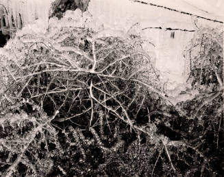 Ice, New Mexico