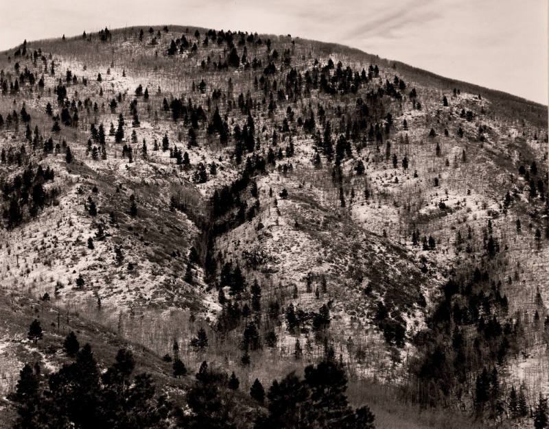 Aspen Valley