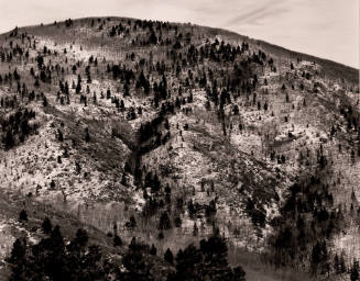 Aspen Valley