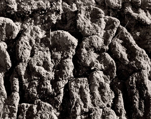 Los Griegos (Detail), 150-Year-Old Adobe