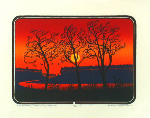 Rio Arriba, Cottonwoods, Chollas