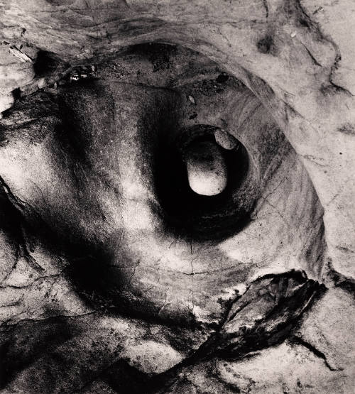 Embryo Head, Last Chance, Waddell Creek