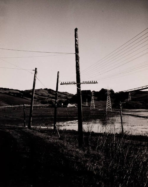 Study of Telephone Poles
