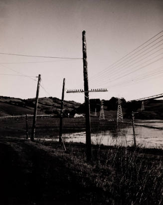 Study of Telephone Poles